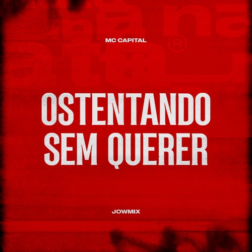 Ostentando Sem Querer