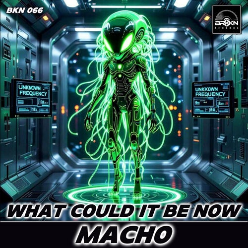 What Could It Be Now (Original Mix)