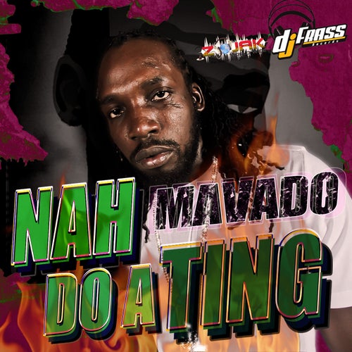 Nah Do A Ting - Single