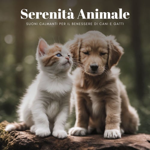 Serenità Animale: Suoni Calmanti per il Benessere di Cani e Gatti