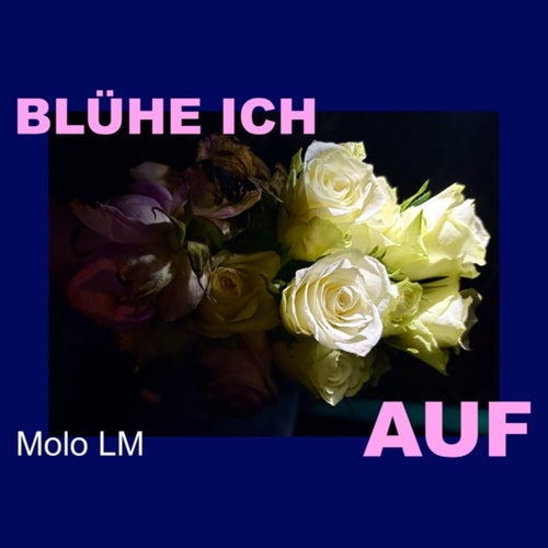 Blühe ich auf