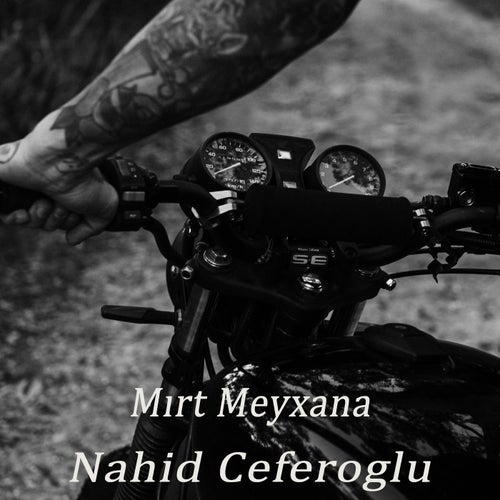 Mırt Meyxana