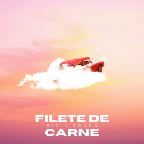 FILETE DE CARNE