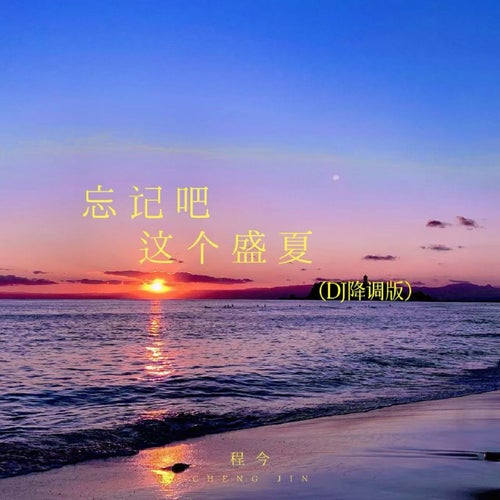 忘記吧這個盛夏 (DJ降調版)