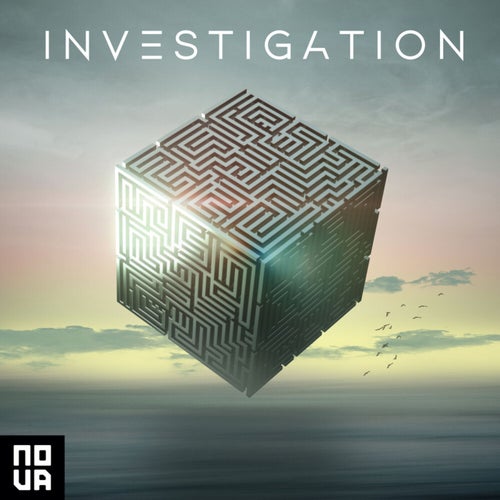 Investigation