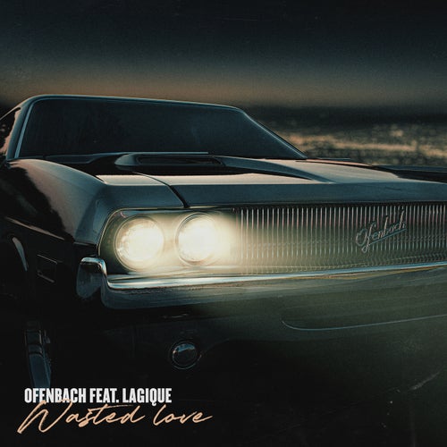 Wasted Love (feat. Lagique) (Extended Mix)