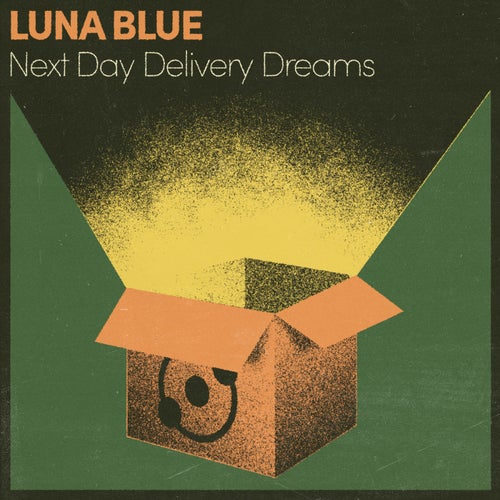 Next Day Delivery Dreams