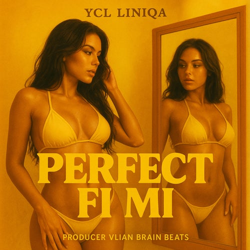 Perfect Fi Mi