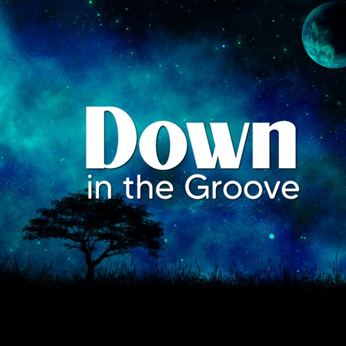 Down in the Groove