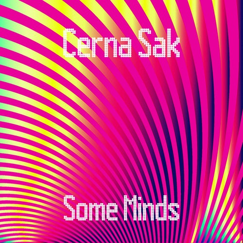 Some Minds