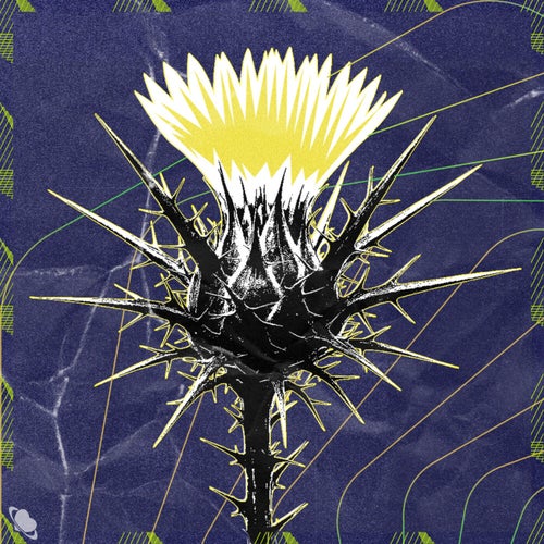 Uzun İnce Bir Yoldayım