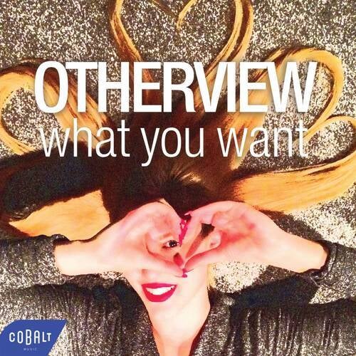What You Want (Radio Edit)