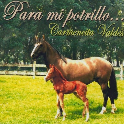 Para Mi Potrillo