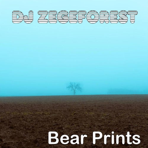 Bear Prints