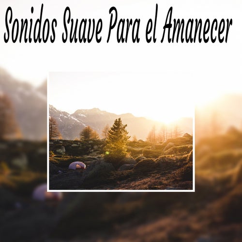 Sonidos Suave para el Amanecer