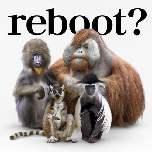 Reboot -Akiramenai Uta- / Nagareboshi