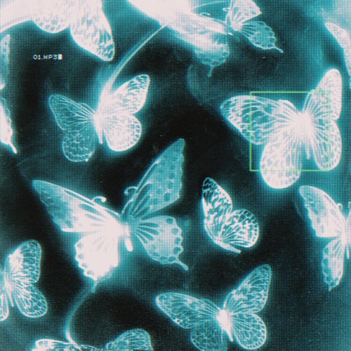 chrome butterflies