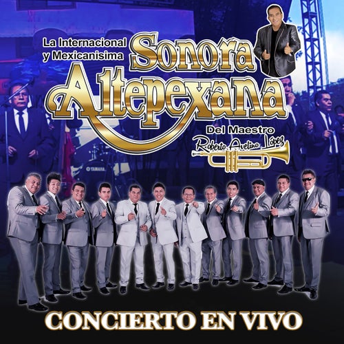 Concierto en Vivo
