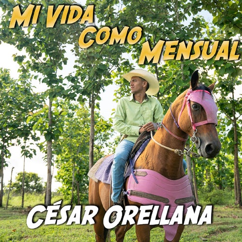 Mi Vida como Mensual