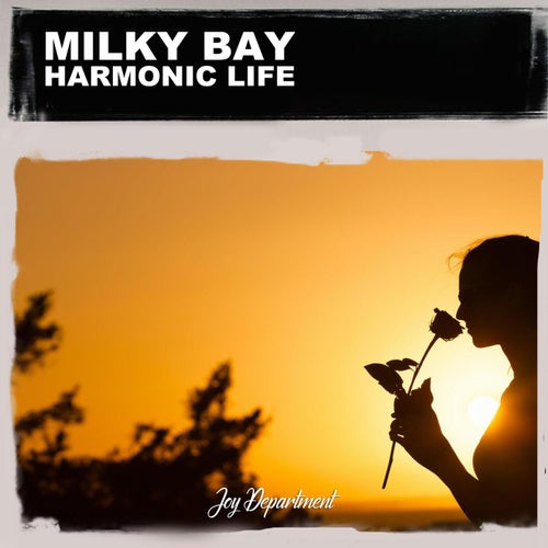 Harmonic Life (Nu Ground Foundation Soul Mix)