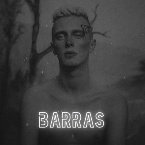 barras