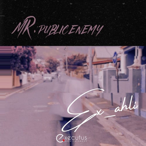 Mr. Public Enemy