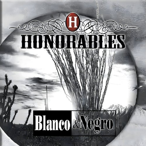Blanco Y Negro