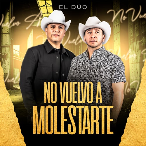 No Vuelvo A Molestarte