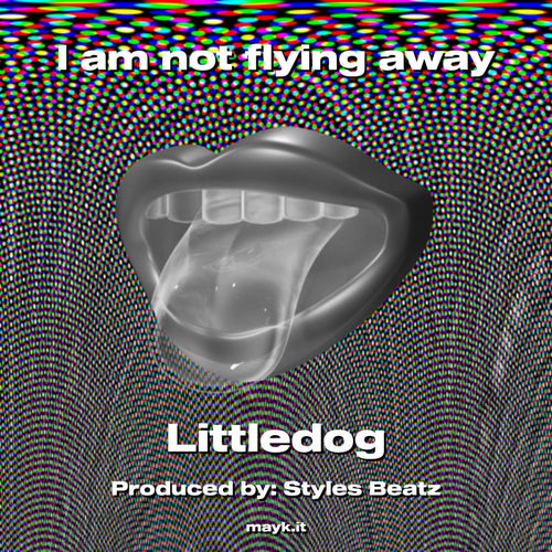 I am not flying away
