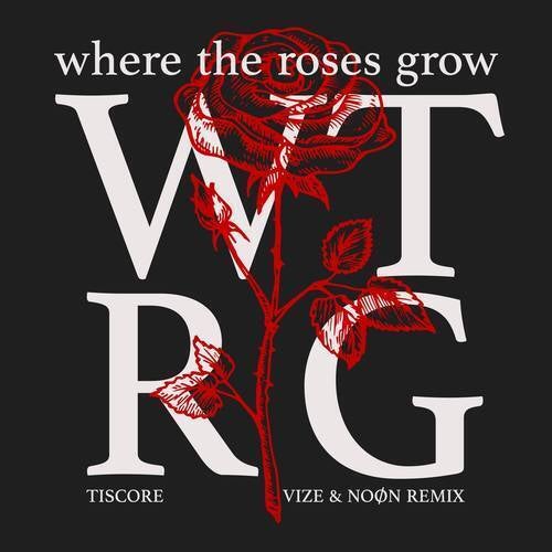 Where The Roses Grow (VIZE & NOØN Remix)