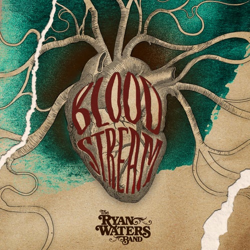Bloodstream