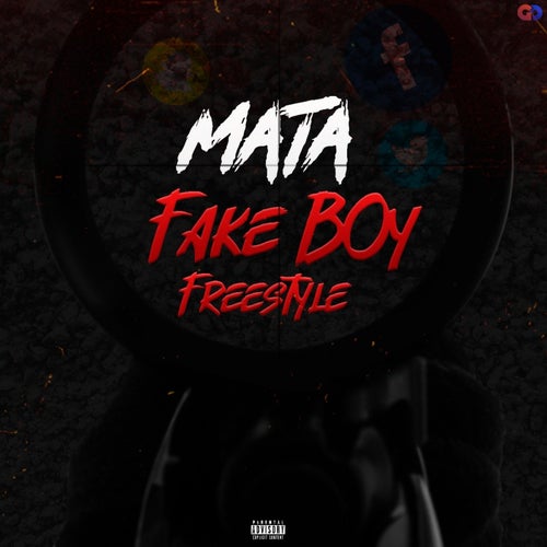 Fake Boy (Freestyle)