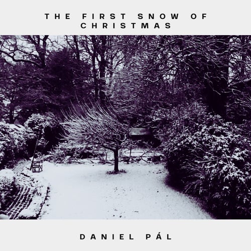 The First Snow of Christmas