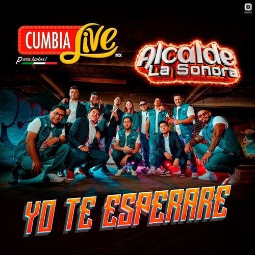 Yo te esperaré