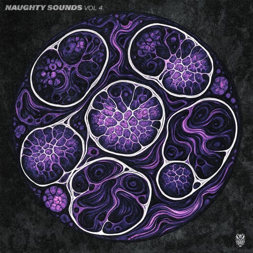 Naughty Sounds Vol. 4