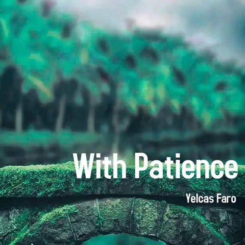 With Patience (Original Mix)