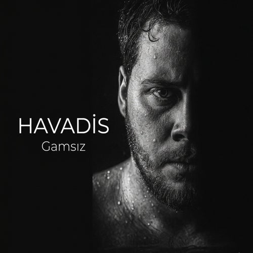 Gamsız