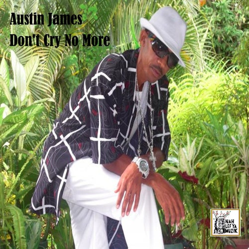 Don't Cry No More