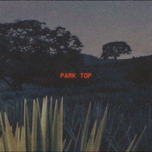 PARK TOP