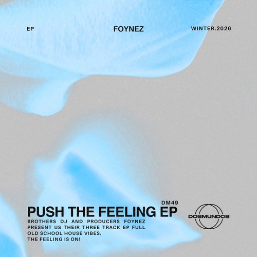 Push The Feelin EP