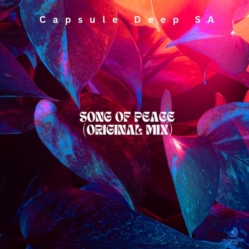 Song Of Peace (Original Mix)