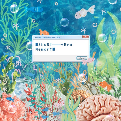 Short-term Memory