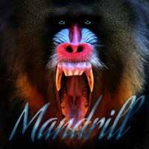 Mandrill Profile