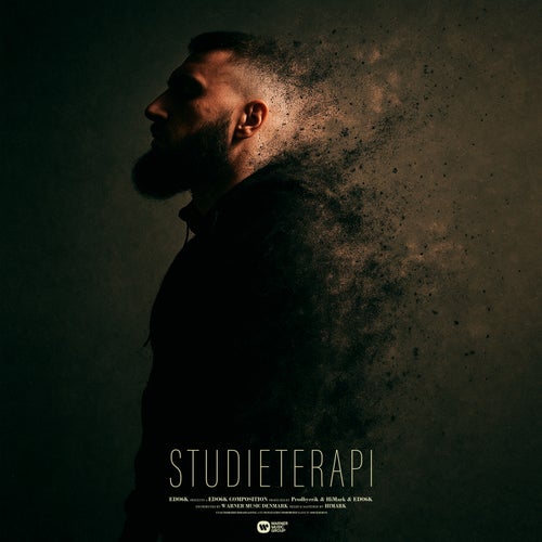 Studieterapi