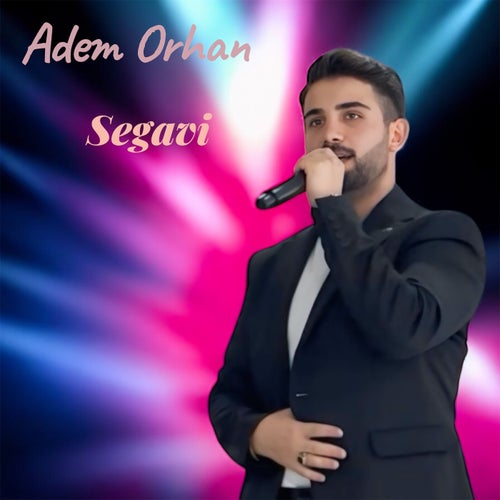 Segavi
