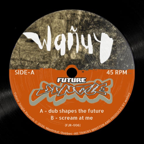 Dub Shapes The Future