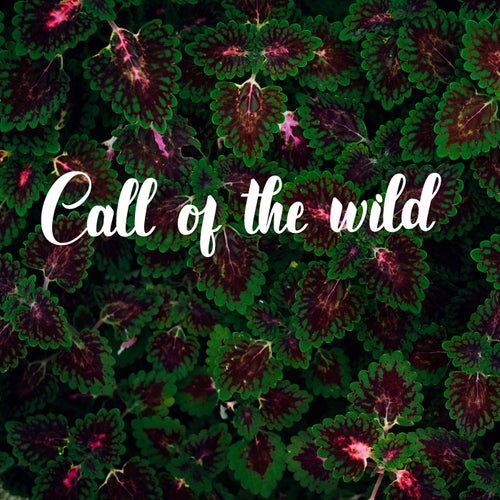 Call Of The Wild
