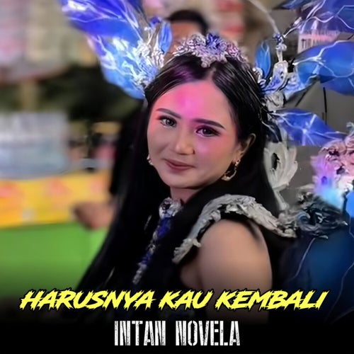 Harusnya Kau Kembali