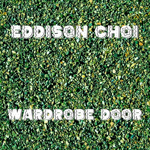 Wardrobe Door
