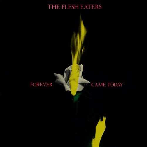 Forever Came Today